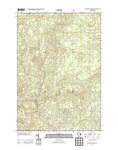 2013 Map of Roaring Rapids, 2013 Print