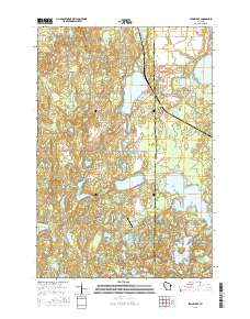 2015 Map of Stone Lake, 2015 Print