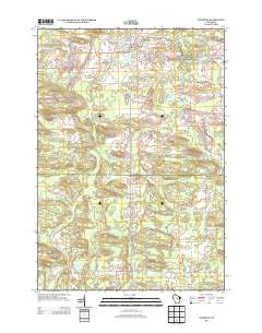 2013 Map of Tigerton, 2013 Print