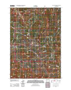 2012 Map of Bald Mountain, 2012 Print