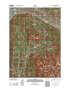 2012 Map of Big Sheep Mountain, 2012 Print