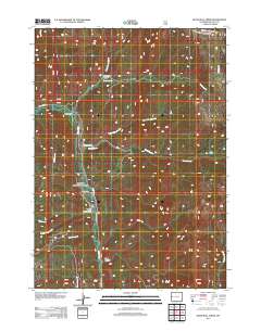 2012 Map of Blind Bull Creek, 2012 Print