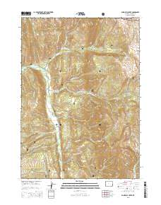 2015 Map of Blind Bull Creek, 2015 Print