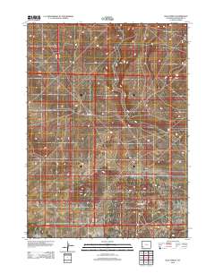 2012 Map of Blue Forest, 2012 Print