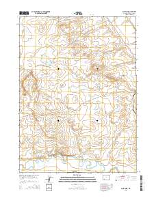 2015 Map of Blue Point, 2015 Print