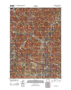 2012 Map of Buffalo SE, 2012 Print