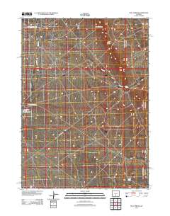 2012 Map of Bull Springs, 2012 Print