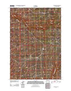 2012 Map of Bush Butte, 2012 Print