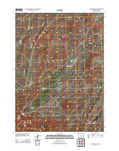 2012 Map of Buzzard Ranch, 2012 Print