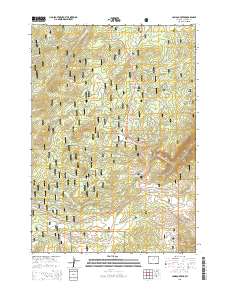 2015 Map of Caribou Creek, 2015 Print