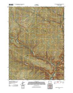 2010 Map of Chicken Creek SW, 2010 Print