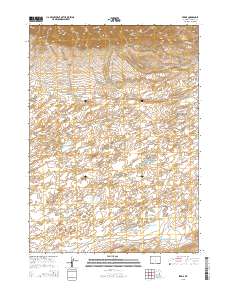 2015 Map of Ferris, 2015 Print
