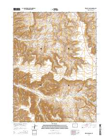 2015 Map of Firehole Basin, 2015 Print