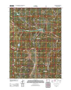 2012 Map of Fish Lake, 2012 Print