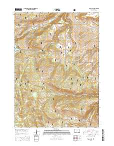 2015 Map of Fossil Hill, 2015 Print