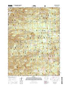 2015 Map of Foxpark, 2015 Print