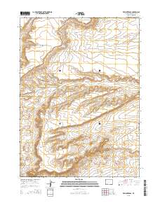 2015 Map of Freighter Gap, 2015 Print