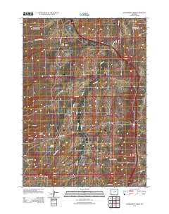2012 Map of Government Creek, 2012 Print