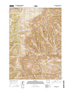 2015 Map of Grave Spring, 2015 Print