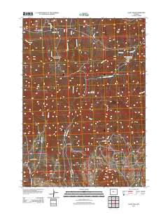 2012 Map of Guffy Peak, 2012 Print