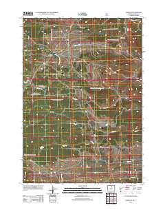 2012 Map of Hazelton, 2012 Print