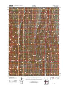 2012 Map of Huff Lake, 2012 Print