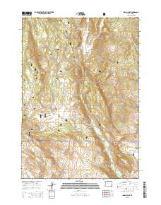2015 Map of Indian Point, 2015 Print