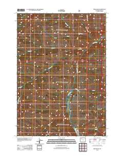 2012 Map of Irish Rock, 2012 Print