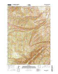 2015 Map of Kirkland Park, 2015 Print