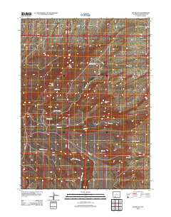 2012 Map of Lion Bluffs, 2012 Print