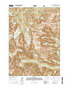 2015 Map of Lizard Head Peak, 2015 Print