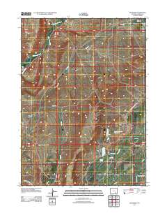 2012 Map of McFadden, 2012 Print