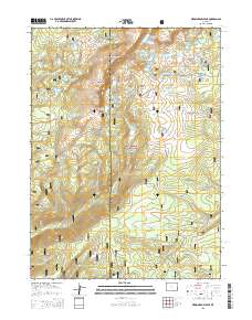 2015 Map of Medicine Bow Peak, 2015 Print