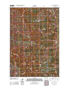 2012 Map of Mexican Hill, 2012 Print