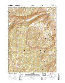 2015 Map of Mount Arter, 2015 Print