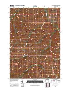 2012 Map of Mount Burwell, 2012 Print