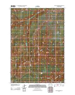 2012 Map of Mount Washburn, 2012 Print