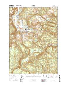 2015 Map of Old Faithful, 2015 Print