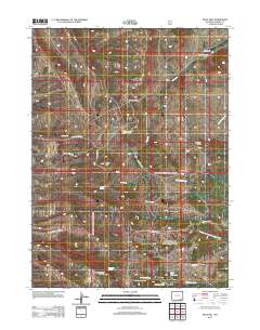 2012 Map of Pilot Hill, 2012 Print