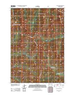 2012 Map of Pilot Peak, 2012 Print