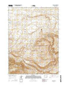2015 Map of Pine Hill, 2015 Print