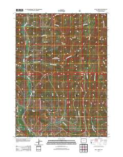 2012 Map of Pole Creek, 2012 Print