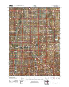 2012 Map of Puddle Springs, 2012 Print