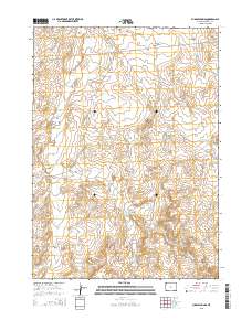 2015 Map of Puddle Springs, 2015 Print