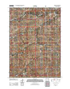 2012 Map of Red Hill, 2012 Print