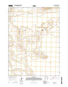 2015 Map of Red Lake, 2015 Print