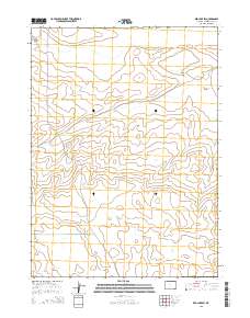 2015 Map of Red Lake SW, 2015 Print
