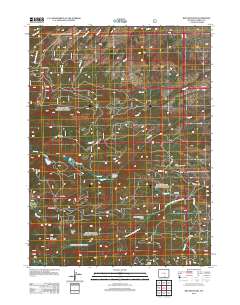 2012 Map of Red Mountain, 2012 Print