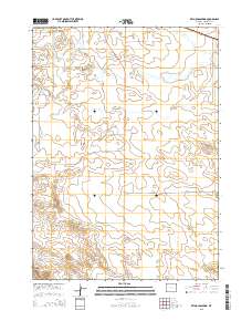 2015 Map of Reynolds Spring, 2015 Print