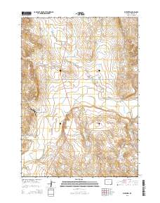 2015 Map of Riverview, 2015 Print